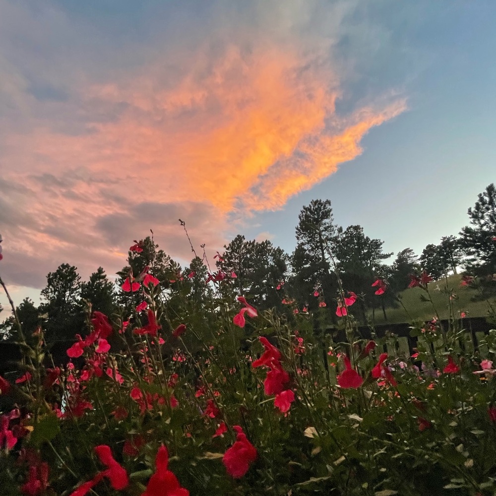 Meet your Posher, Keira